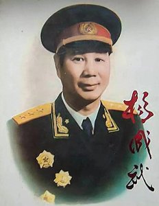 ​杨成武上将