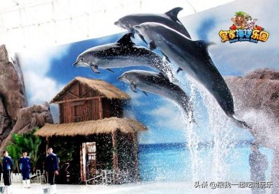 ​沈阳抚顺有一个海洋馆上央视多次，到底是什么样子