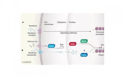 ​相亲约会两次了还是没感觉怎么办