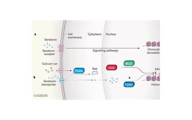 相亲约会两次了还是没感觉怎么办