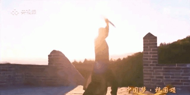 国庆赵文卓踢刀(赵文卓国庆) 赵文卓 第2张 国庆赵文卓踢刀(赵文卓国庆) 赵文卓 第2张