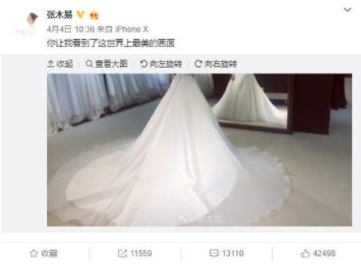 miki和张木易最新消息 miki张木易结婚了吗