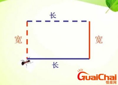 ​长方形的周长公式是什么？长方形的周长怎么算？