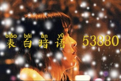 ​表白暗语：77895 紧紧抱紧我 53880 我想抱抱你