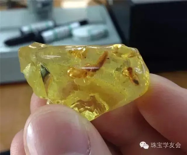 根珀和蜜蜡哪个贵(根珀和蜜蜡的区别)
