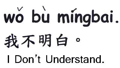 华裔abc代表什么（在文化纠结中成长的一代人）(8)