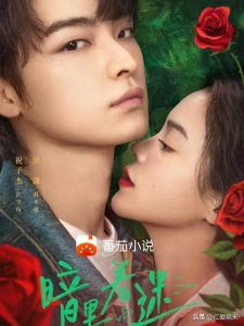 ​姐弟恋！超级好看的姐弟恋短剧TOP8！