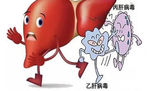 谷丙转氨酶是什么 谷丙转氨酶偏高的原因