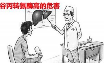 ​谷丙转氨酶是什么 谷丙转氨酶偏高的原因