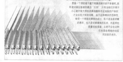 ​马其顿方阵因何会败于罗马军团？