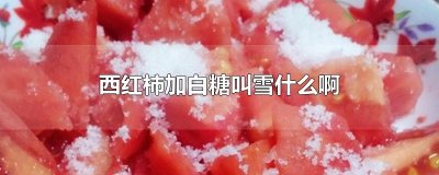 ​西红柿加白糖叫雪什么啊