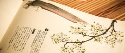 ​可圈可点的意思