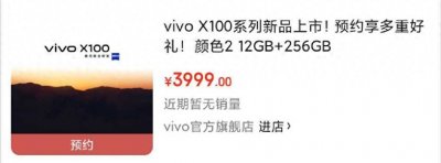 ​vivo X100价格意外曝光，12+256G售价3999元