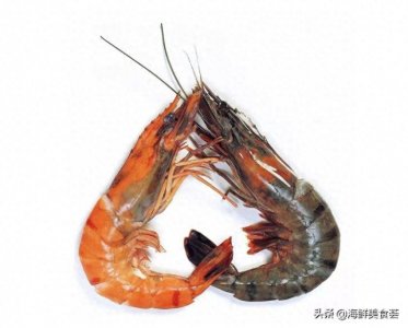 ​虾中的爱马仕，市场上常见的对虾就有10种，真的是亮瞎了眼