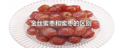 ​金丝蜜枣和蜜枣的区别