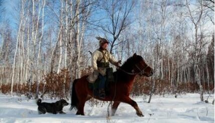 曾经称霸东北的猎犬，如今数量不足千条：鄂伦春犬的确很美