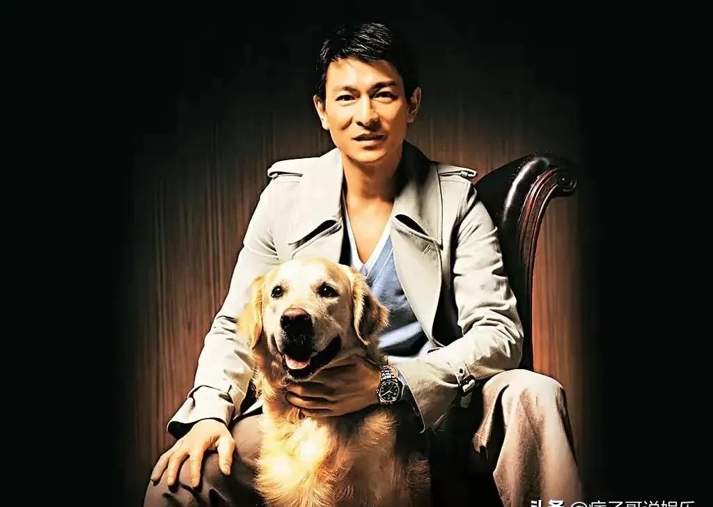 中国好声音有哪些明星去过(哪些明星去参加过中国好声音) 明星 第6张