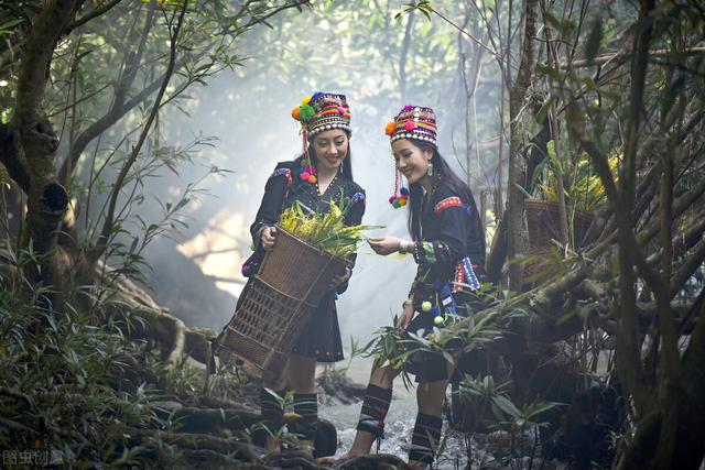 苗族巫蛊事件真相(苗族有蛊蛊物毒人)(13)