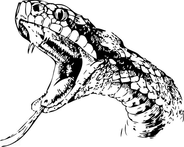 苗族巫蛊事件真相(苗族有蛊蛊物毒人)(12)