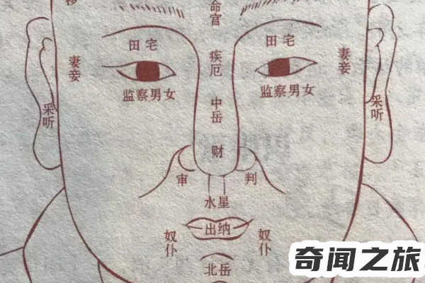 郭晶晶面相百年难遇（郭晶晶的面相是旺夫相吗）(3)_