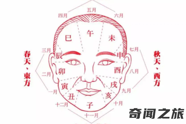 郭晶晶面相百年难遇（郭晶晶的面相是旺夫相吗）(4)_