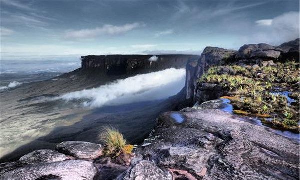 罗赖马山在哪里（罗赖马山山顶到底有多么的神奇）(3)_