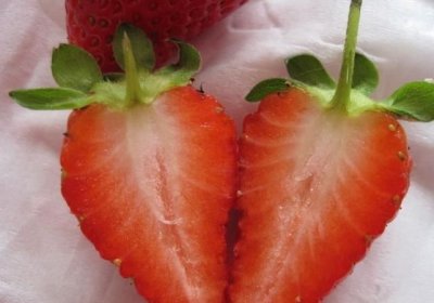 ​奶莓和草莓的区别,奶莓和红颜草莓哪个贵