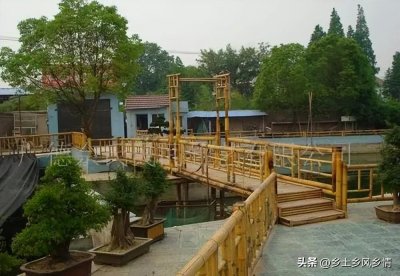 ​厌倦了在外打工，想回农村创业又怕失败，这五点建议助您创业成功