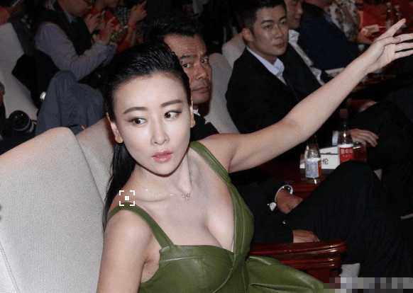 中国哪位女明星胸最大(娱乐圈胸气逼人的五大女星)