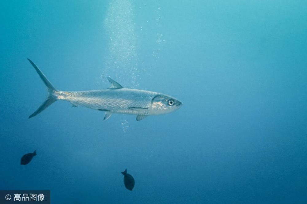 全球最冷清却又有绝美风景的旅游胜地：基里巴斯