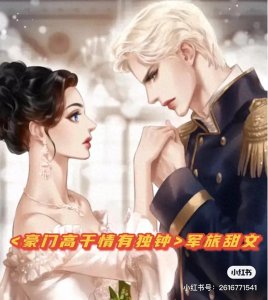 ​豪门高干双军旅文