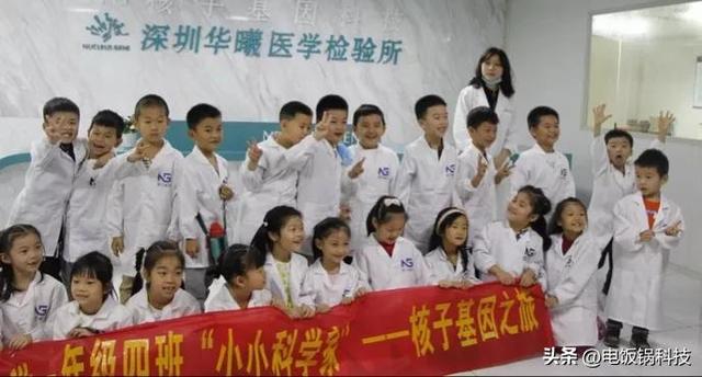 深度揭秘张核子（带你寻找张核子与巴颖的基因密码）(11)