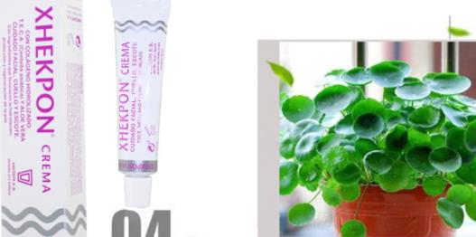 xhekpon颈纹霜多少钱?西班牙颈纹霜购买渠道 xhekpon颈纹霜多少钱?西班牙颈纹霜购买渠道