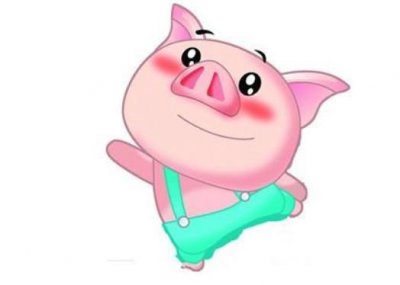 ​属猪和属虎的合不合 98年属虎相合的属相婚配表查询