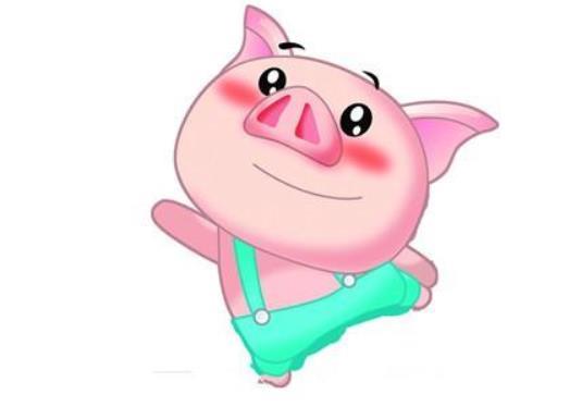 属猪和属虎的合不合 98年属虎相合的属相婚配表查询