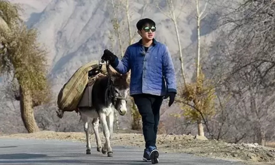 王祖蓝的爸爸王严化是谁(王祖蓝父亲身份曝光)