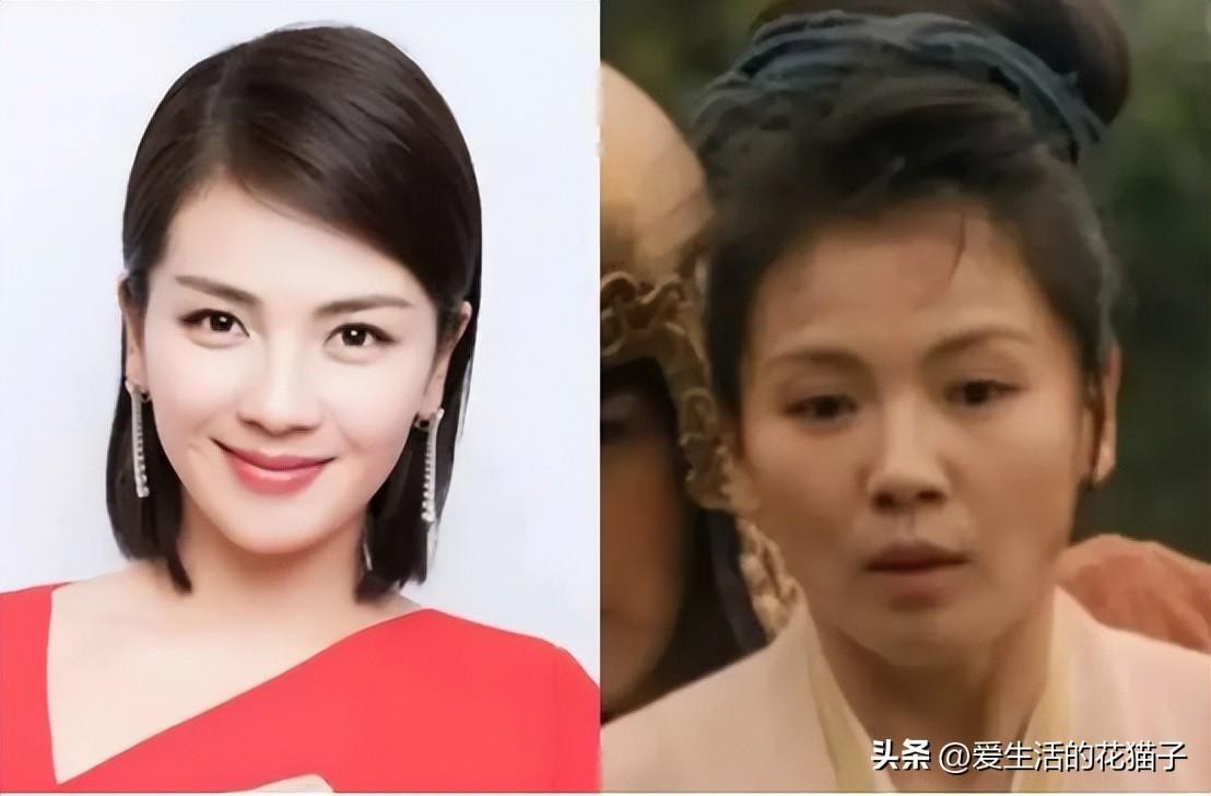 前央视主持苑冉：16岁出道，却靠演“后妈”出圈，今43岁婚姻成谜