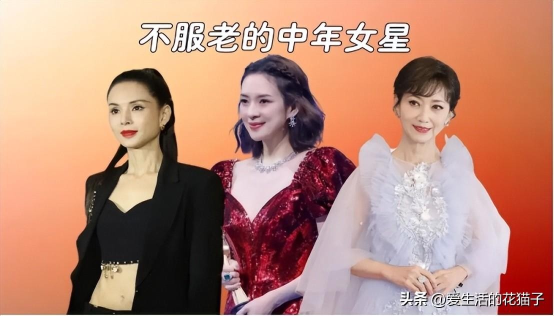 前央视主持苑冉：16岁出道，却靠演“后妈”出圈，今43岁婚姻成谜