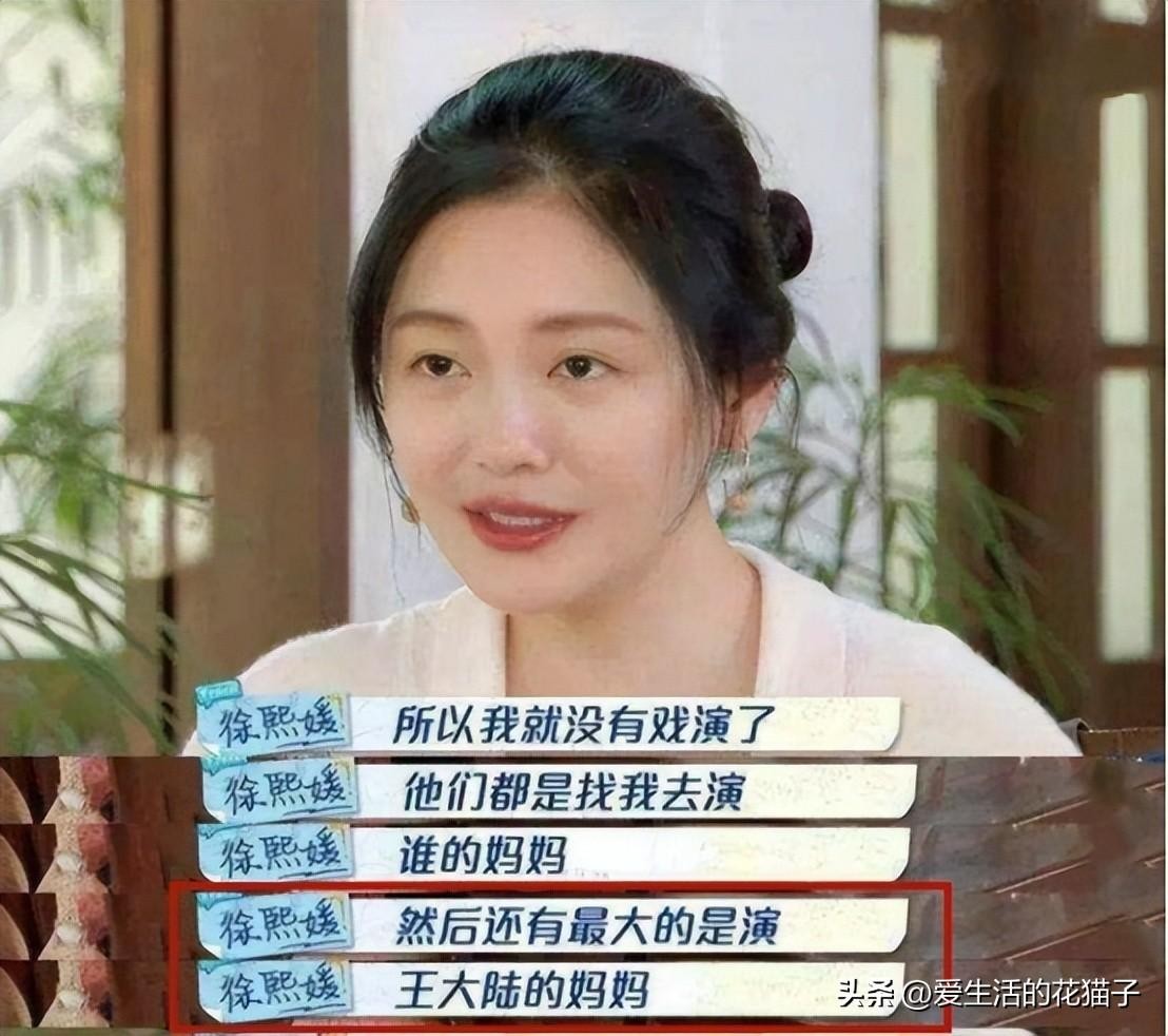 前央视主持苑冉：16岁出道，却靠演“后妈”出圈，今43岁婚姻成谜