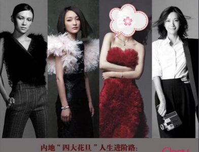 ​徐静蕾为什么是京圈宠儿(徐静蕾背后的大贵人)