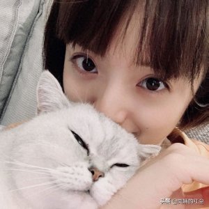 ​当你的猫丢失，试试用“剪刀大法”去寻找，很灵验！