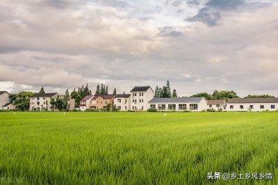 ​我是农村人，告诉你真实的农村生活是这样的