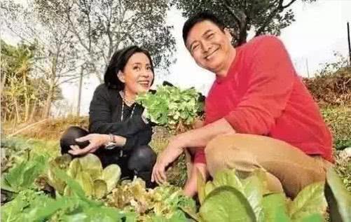 周润发为什么裸捐56亿是真的吗？周润发裸捐的钱去哪了给谁了