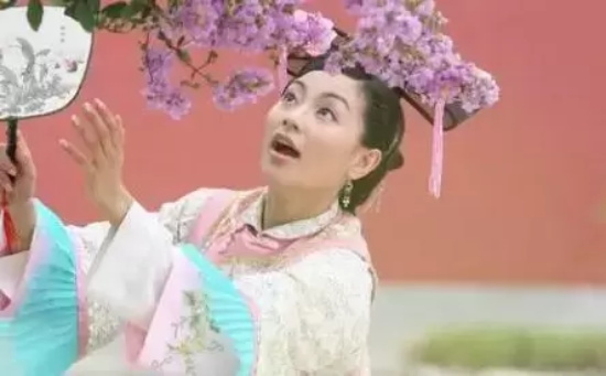 和珅的老婆是谁？一生娶了九个老婆且个个都貌美如花