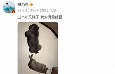 ​“贾乃亮去世”的谣言来源来了