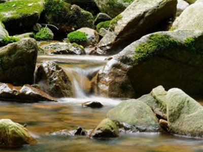 ​还在为1升等于多少斤而烦恼吗？我来为你揭秘！