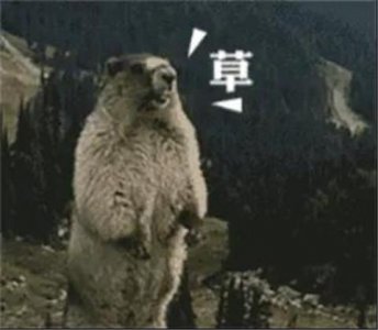 ​赚钱 VS 陪女友，怎么选？