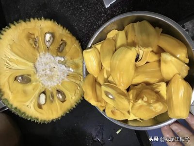​菠萝蜜怎么剥开（菠萝蜜怎么剥开最简单视频）