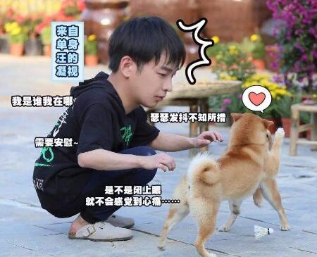 彭昱畅向往的生活变胖 抵挡不了美食诱惑一直吃吃吃