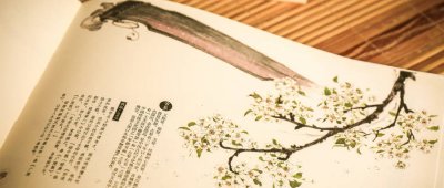 ​可圈可点的意思是啥呀 可点可圈什么意思